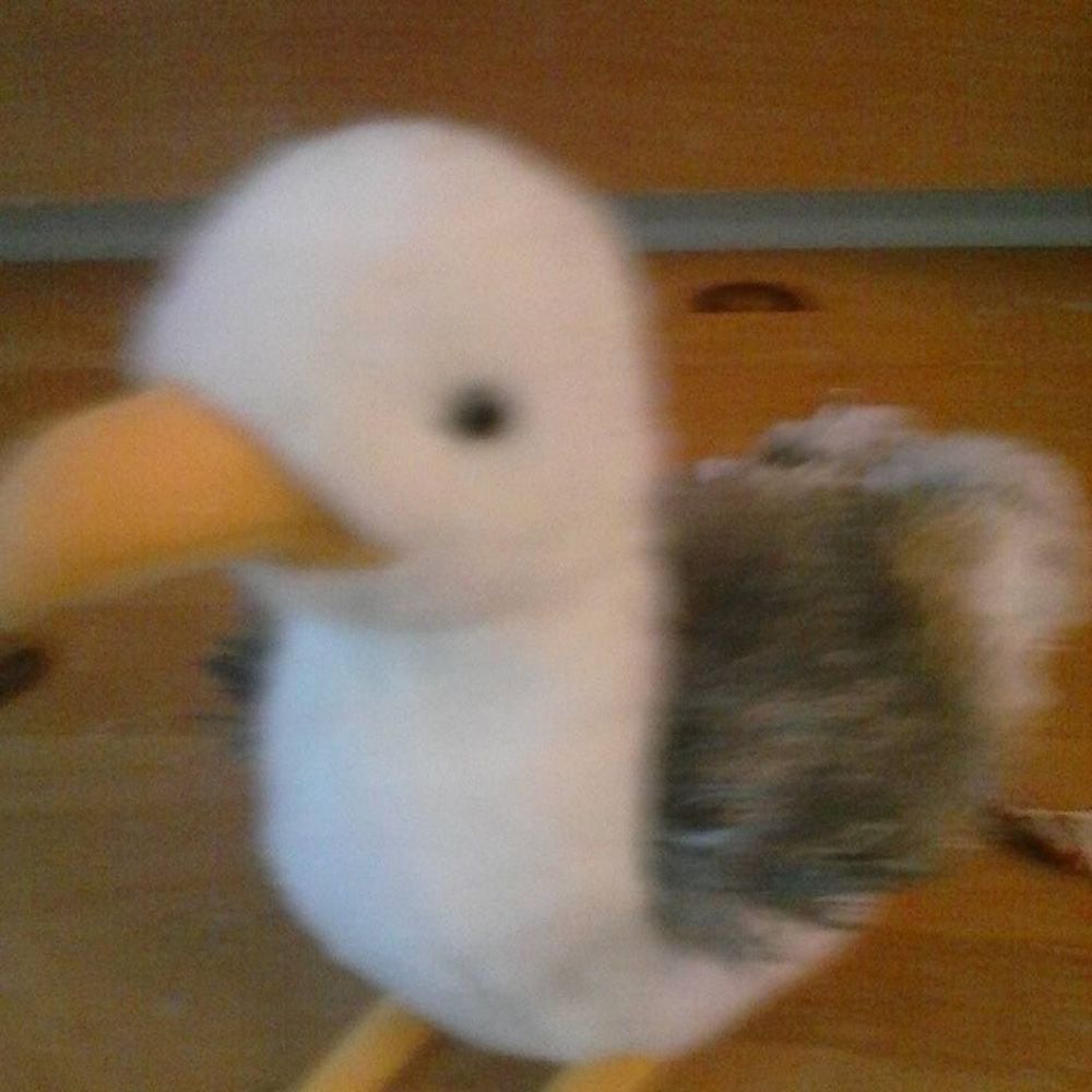 Meet your Posher, Tina